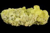 Sulfur Crystal Cluster on Matrix - Nevada #69153-1